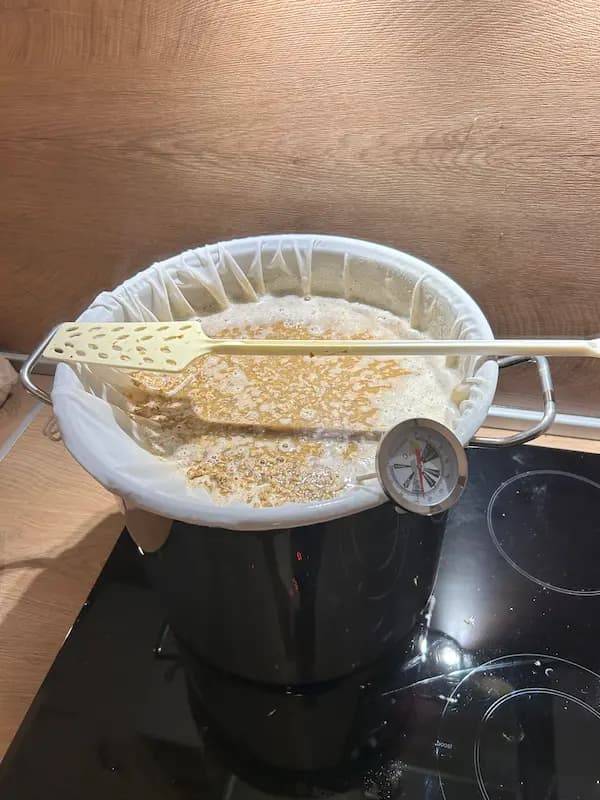 2021 — Първите стъпки